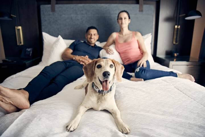 Pet Friendly 56 of 101